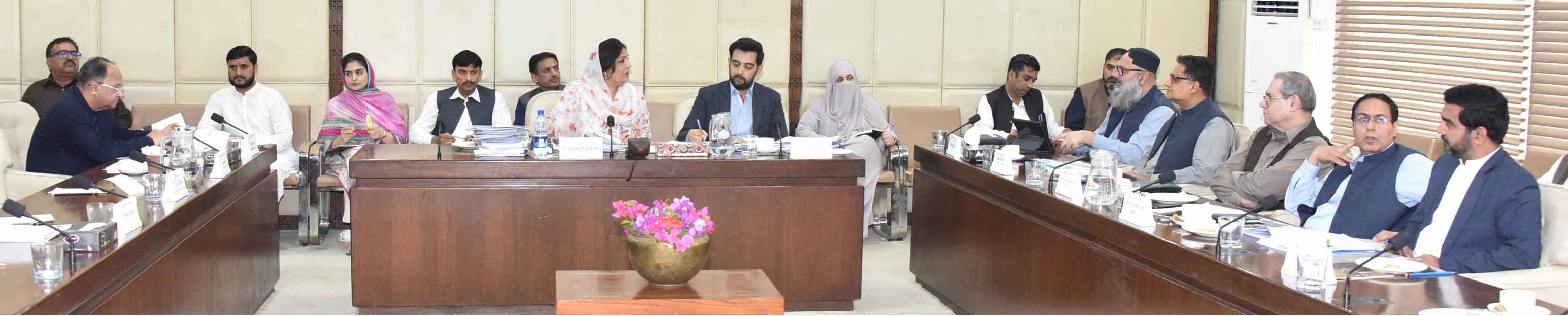 Senator Anusha Rahman Ahmad Khan, Chairperson Senate Standing Committee on Commerce presiding over a meeting of the Committee at Parliament House Islamabad