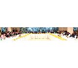 press release picture