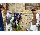 press release picture